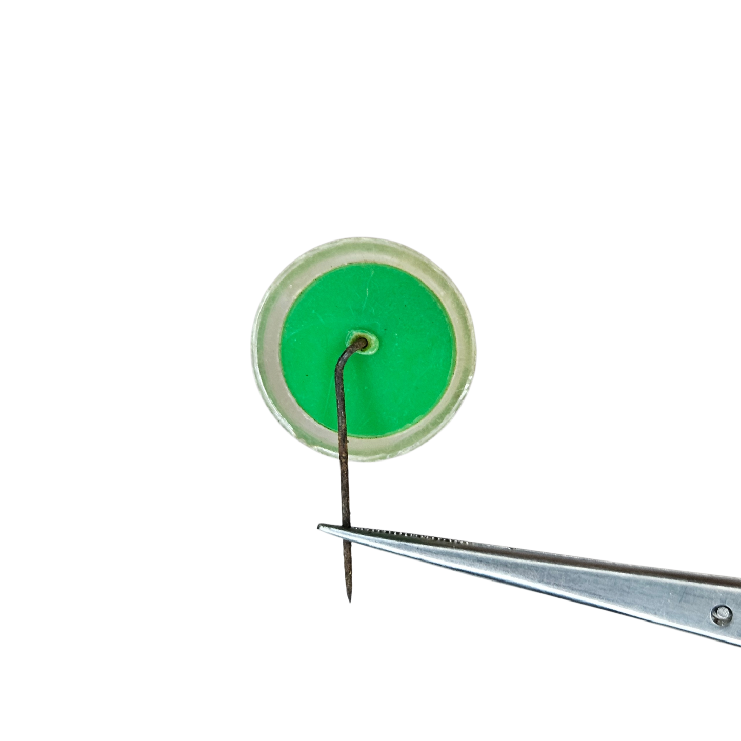 Pin platicó Luis Alberto de Herrera