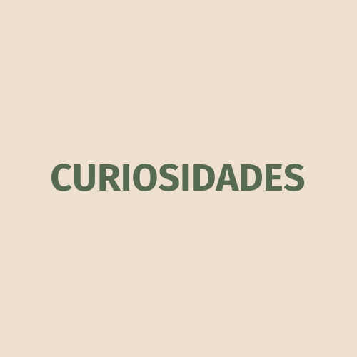 Curiosidades