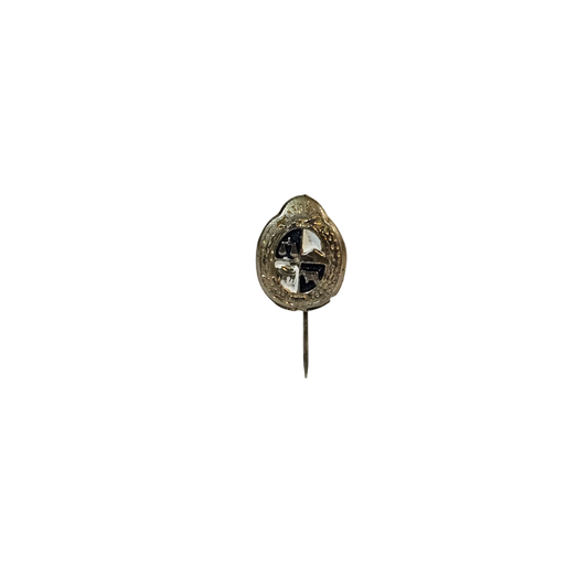 Pin escudo de Uruguay