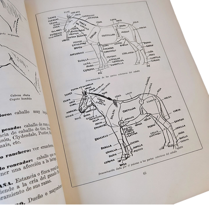 Vocabulario Refranero Criollo