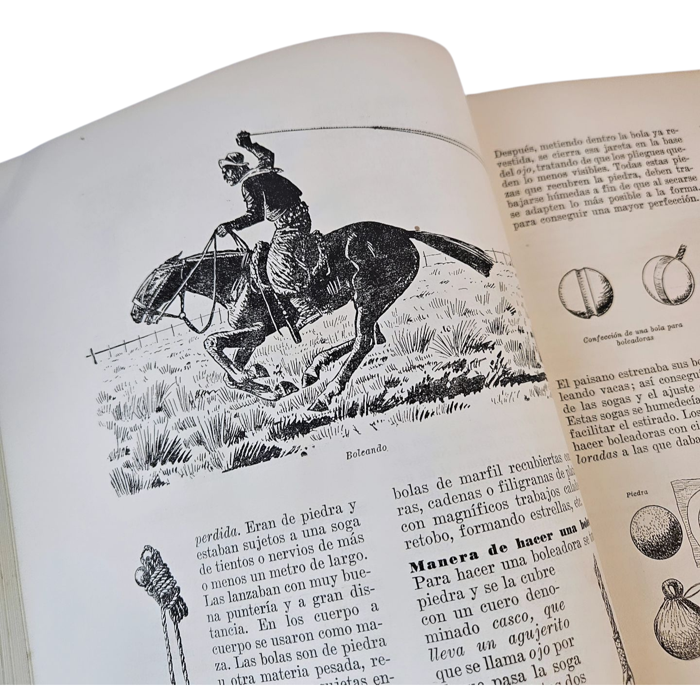 Vocabulario Refranero Criollo