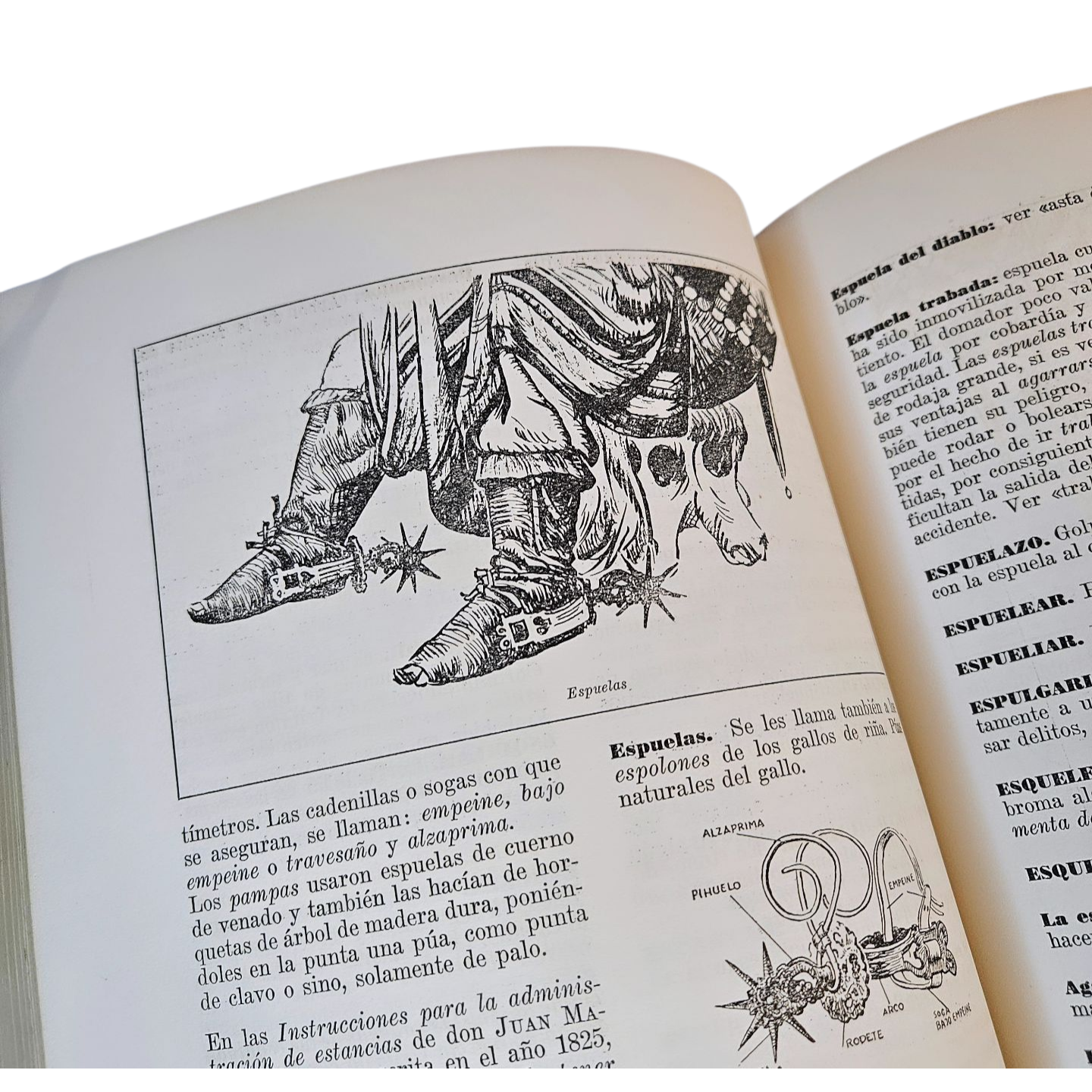 Vocabulario Refranero Criollo