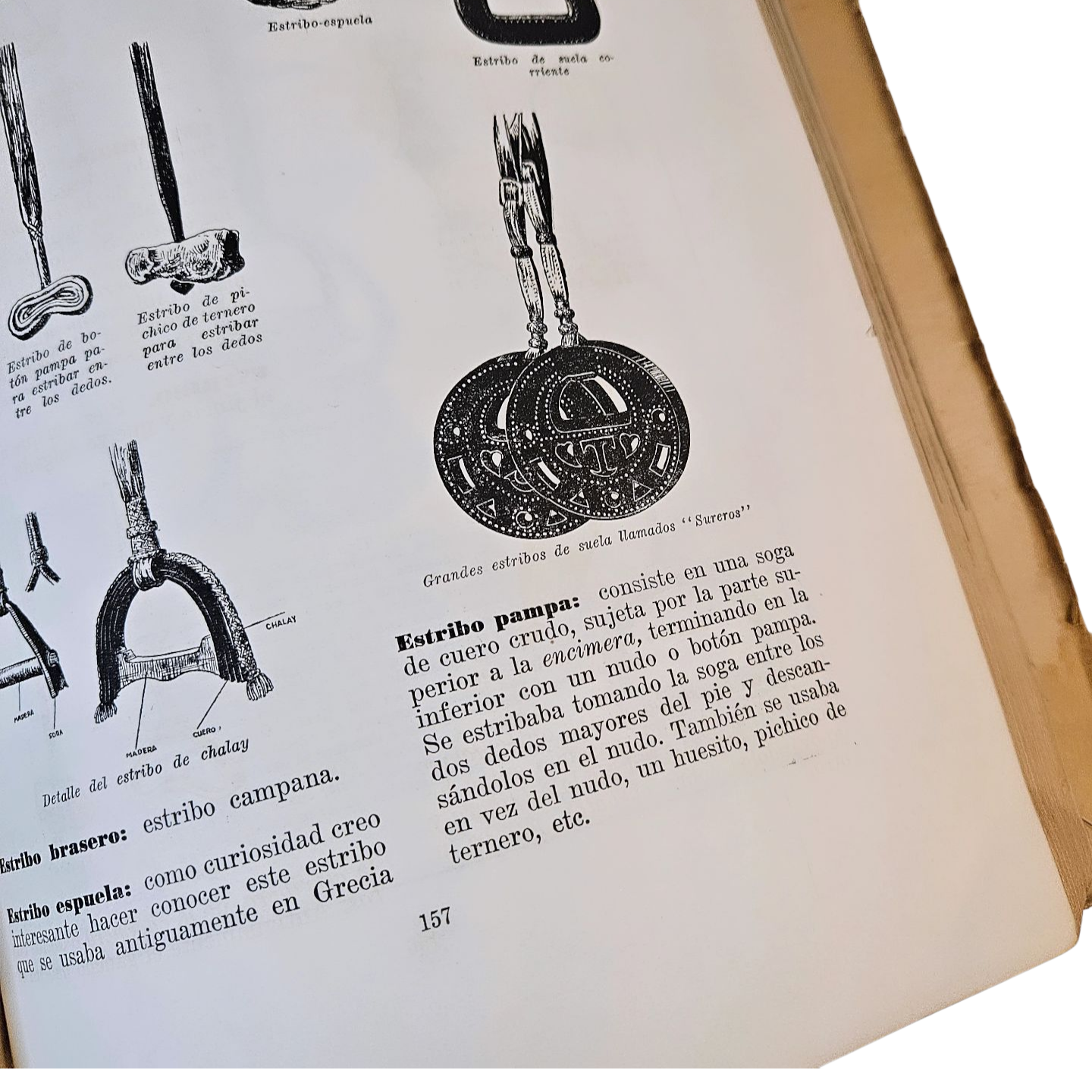 Vocabulario Refranero Criollo