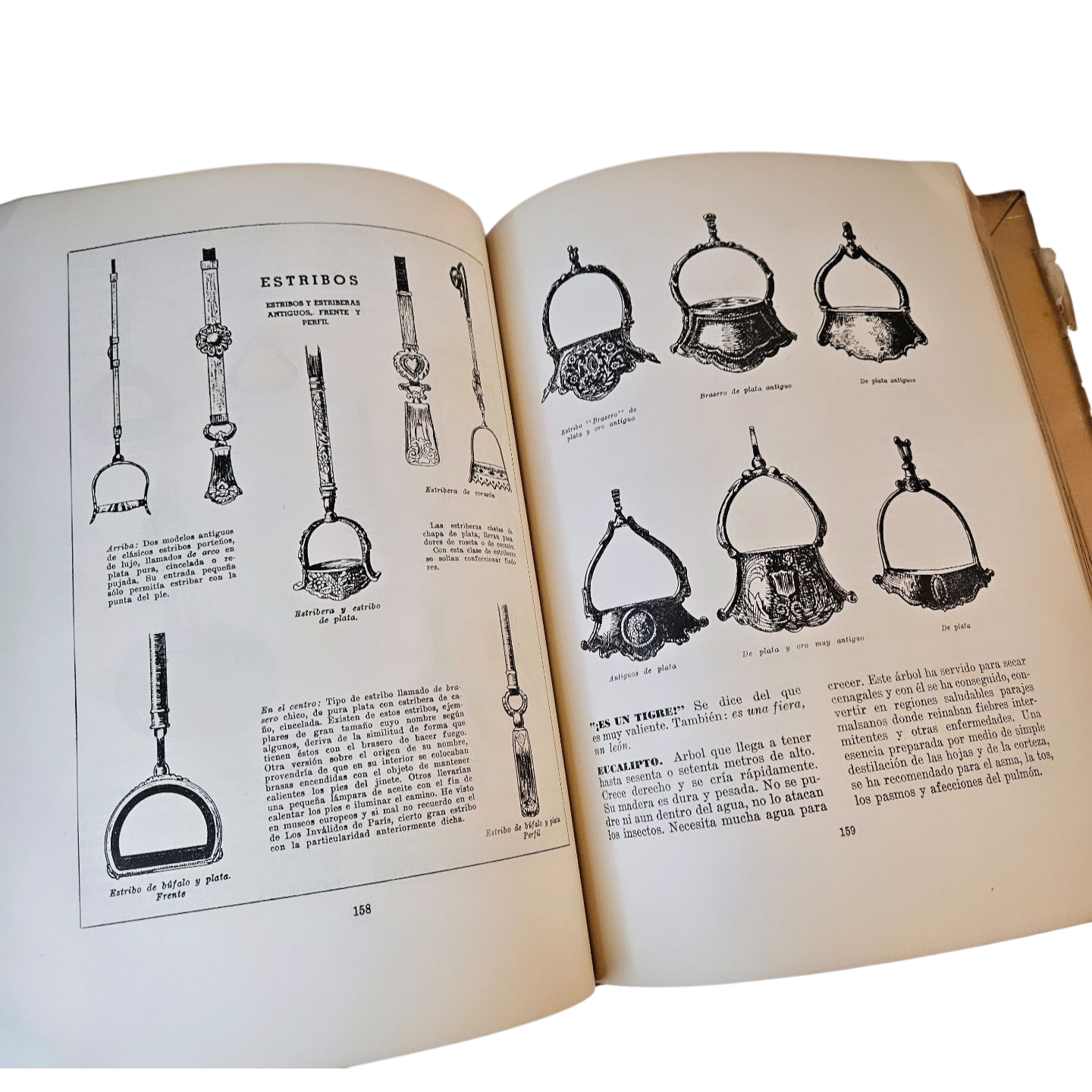 Vocabulario Refranero Criollo