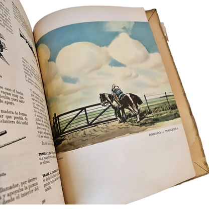 Vocabulario Refranero Criollo