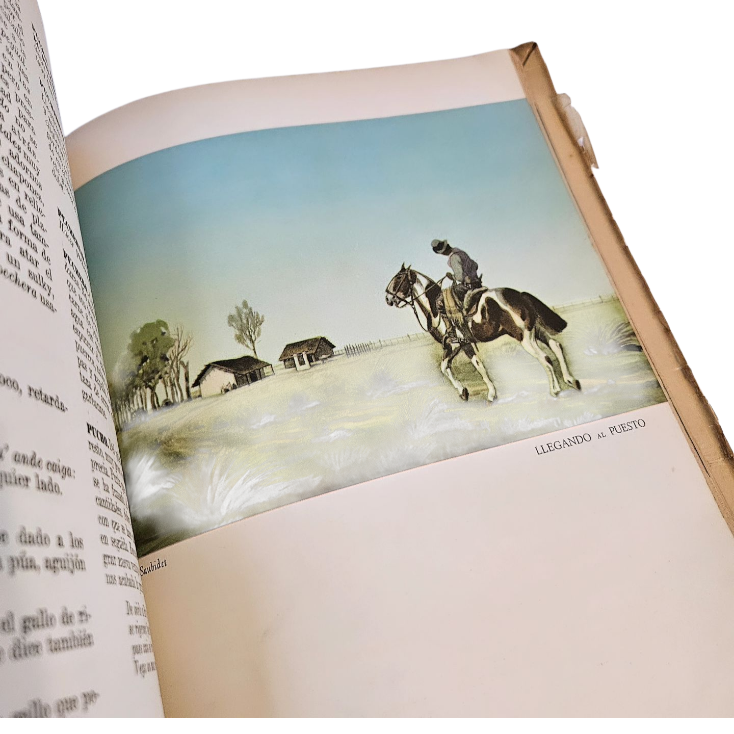 Vocabulario Refranero Criollo