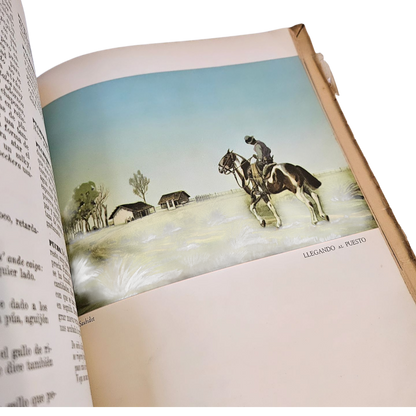 Vocabulario Refranero Criollo