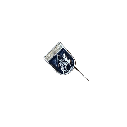 Pin Movimiento Nacional de Rocha