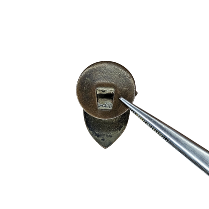Pin bicentenario Artigas