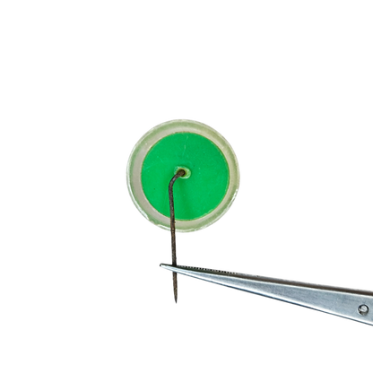 Pin platicó Luis Alberto de Herrera