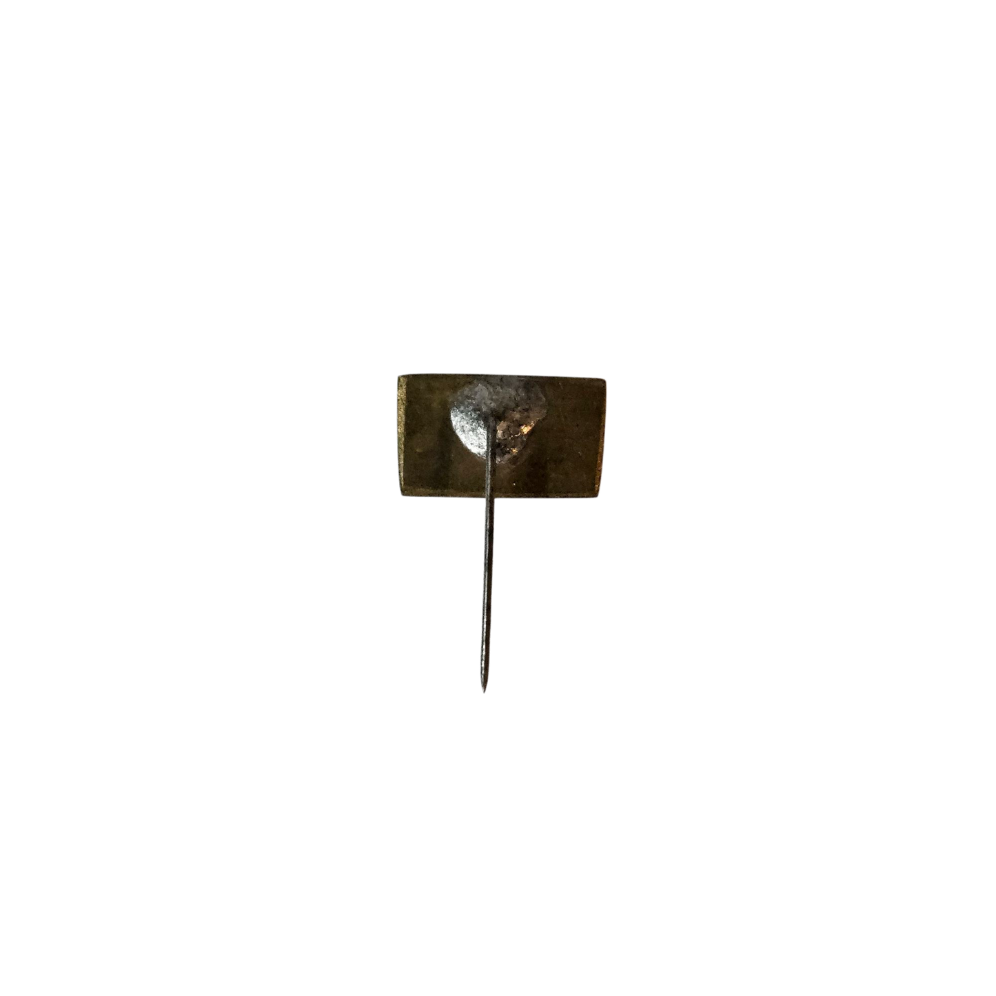 Pin Escudo del Partido Nacional
