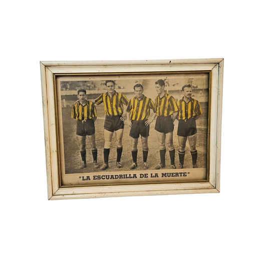Lamina de peñarol