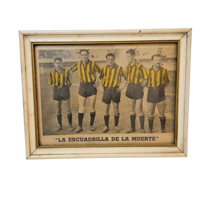 Lamina de peñarol